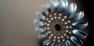 turbine-related fish mortality