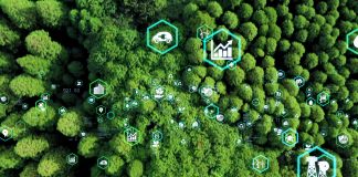 low-carbon electricity