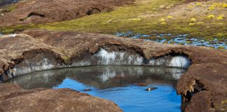 Arctic Permafrost