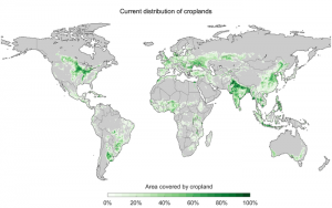 cropland distribution