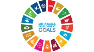 Sustainable development goals