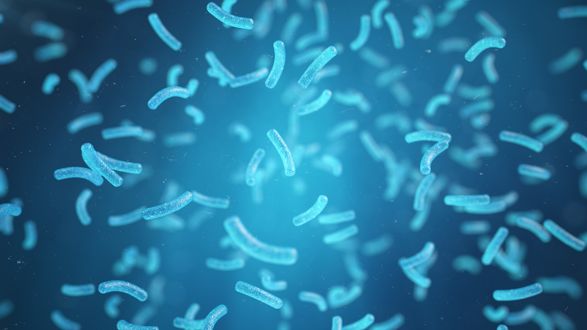Analysing the archaea organism in attempts to reduce methane emissions