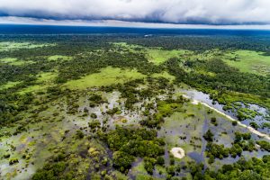 peatlands