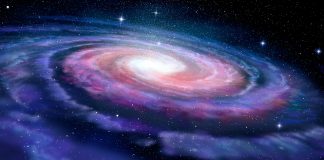 Studying the dynamics of stars in the Large Magellanic Cloud