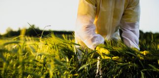 Ensuring food security is at the heart of sustainability measures