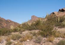 Before breaking ground: Challenges and opportunities for Mexican lithium Mexican lithium