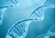 Scientists create the first complete, gapless sequence of a human genome