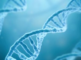 Scientists create the first complete, gapless sequence of a human genome