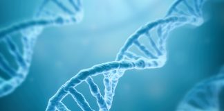 Scientists create the first complete, gapless sequence of a human genome