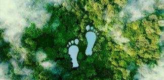 climate change report