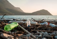 Global experts meet to discuss plastic pollution crisis plastic pollution crisis