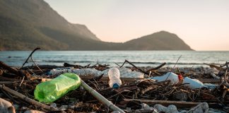 plastic pollution crisis