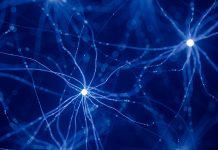 Using neutrino detectors to study interactions inside the nucleus