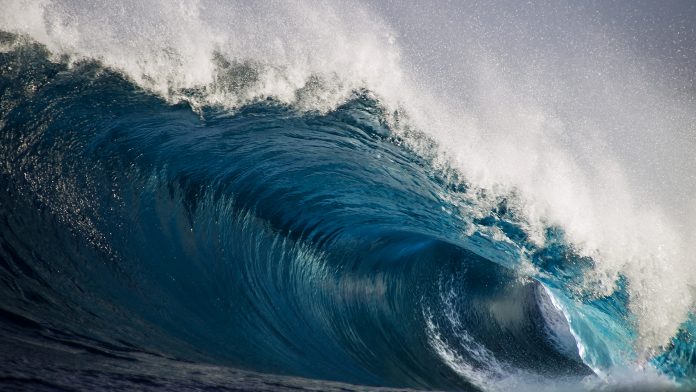 A novel cosmic ray sensor can successfully observe tsunami waves