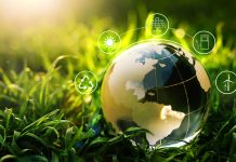 Pursuing the transition to a more sustainable Europe by 2030 sustainable Europe