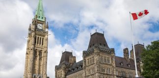 Canada's Critical Minerals