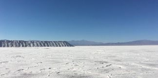 Lithium Sector
