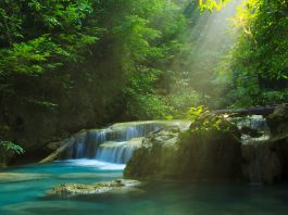 Sensor network technology, ecosystem,