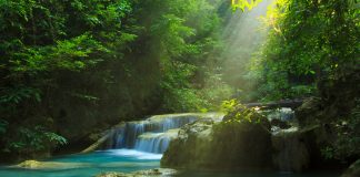 Sensor network technology, ecosystem,