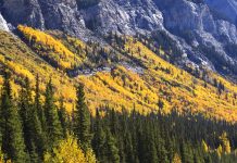 Alberta's mineral resources