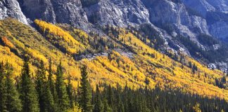 Alberta's mineral resources