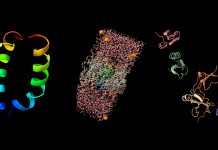 Developing materials to overcome AMR in orthopaedic implants Orthopaedic implants