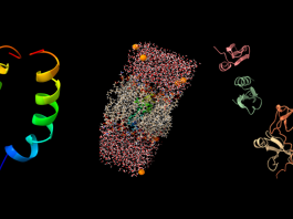 Orthopaedic implants