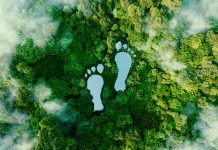 COP26 climate pledges