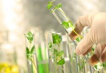 DOE funding to provide framework for hard-to-decarbonise industries hard-to-decarbonise industries