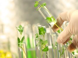 hard-to-decarbonise industries