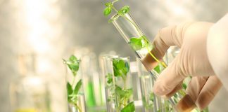 hard-to-decarbonise industries