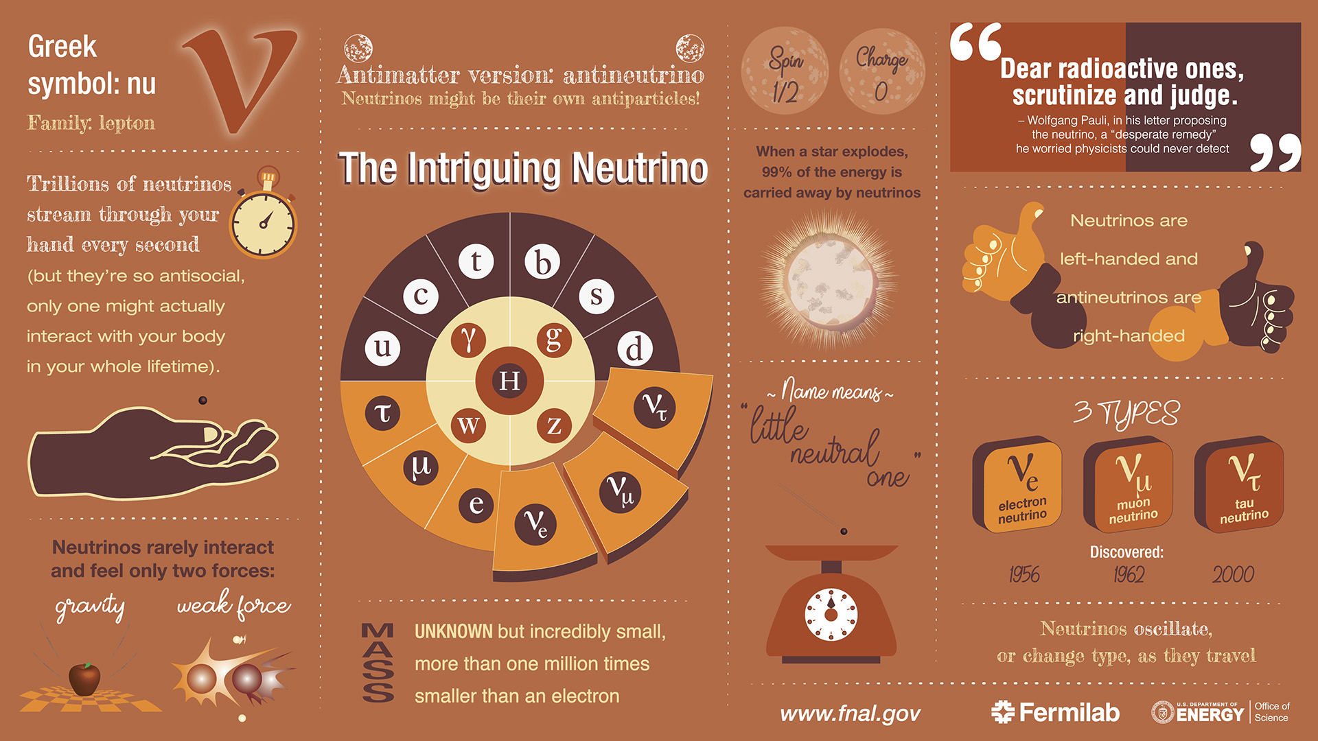 Neutrino interactions