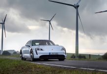 How can we establish EU domestic rare earth supply chains? rare earth industry