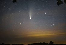 Clearing the sky from optical turbulence with AI and adaptive optics adaptive optics