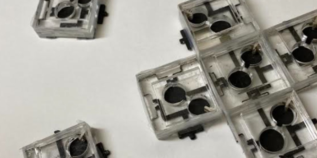 Scientists develop biobattery that generates power for weeks