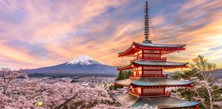 community conservation