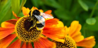 impacts of climate change