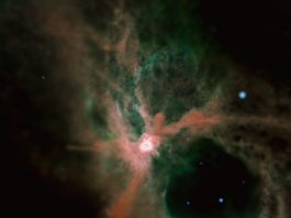 star cluster formation