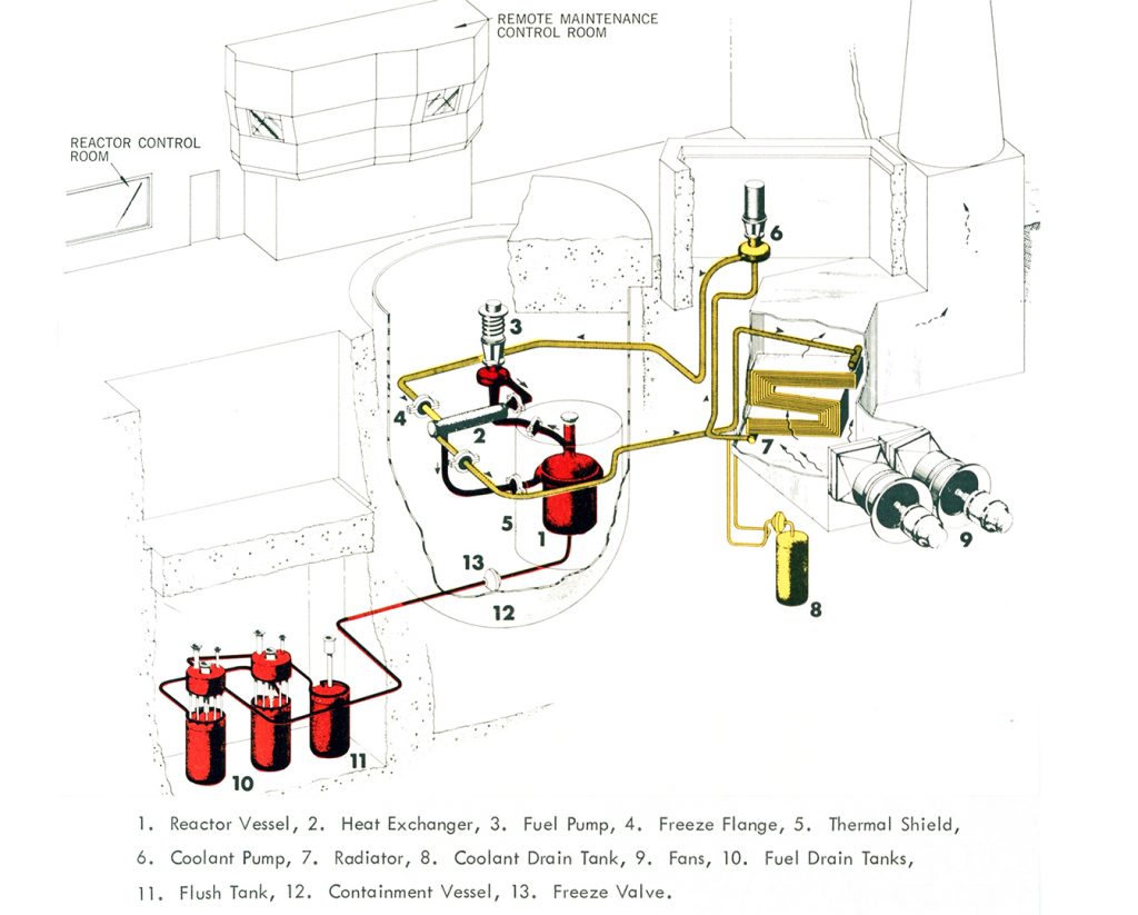 Molten salt reactors