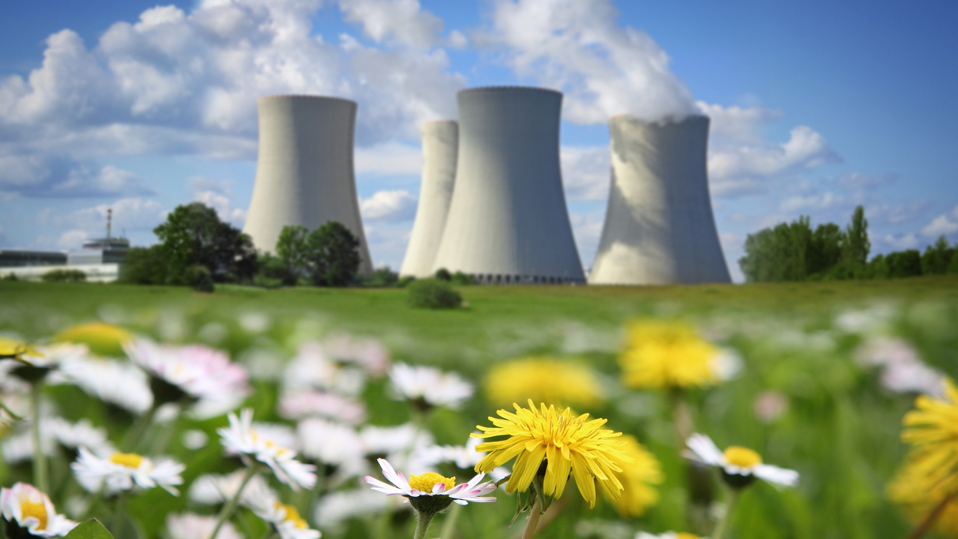 Энергия урожая. АЭС И экология. Атомная Энергетика. Энергетика и экология. Экологические электростанции.