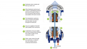 lithium concentration