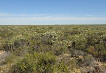 Responsibly sourcing silica sand to meet global demand Responsibly sourcing silica