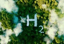 ScottishPower unveils plans for green hydrogen plant at Suffolk port Green hydrogen