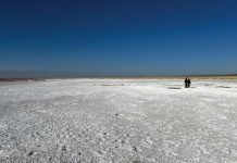 ION Energy: Poised to disrupt Asia’s battery metals scene battery metals