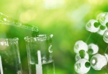 Topsoe and First Ammonia collaborate to advance green ammonia production ammonia production