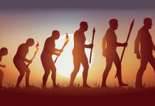 Palaeontologists reveal new factors behind human evolution human evolution