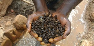 Supply chain sustainability