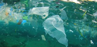 plastic pollution