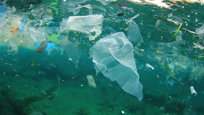 plastic pollution