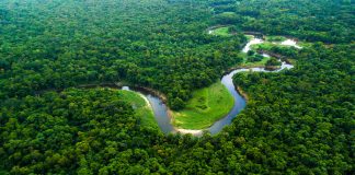 Deforestation policies